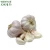 Import 100% pure Natural Garlic extract/Garlic alliin 2%/Garlic Allicin Powder from China