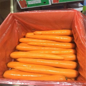 2018 China Fresh Carrot/ Xiamen Carrot 6kg/carton for Dubai Market