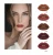 Import 2018 New Brick Red Waterproof Matte Lipstick Liquid Nude Makeup 5 Colors Lip Gloss Long Lasting Lips Make Up Cosmetics I475 from China