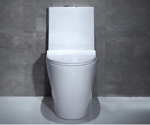 2020  ADTO Competitive Price Chinese Ceramic Bathroom Sanitary Ware White OEM One Piece Toilet