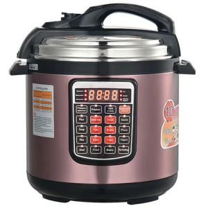 2021 New Design Electric Pressure Cooker 6L Large Capacity Rice Cooker Stainless Steel Body