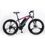 2024 Custom 26-Inch 350W 36V New and Cheap Electric Mountain Bike for Road Biking