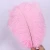 Import 25-30cm White south africa ostrich feathers from China