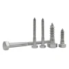 304 410 Stainless Steel Self Tapping Wood Screws Hex Head Lag Screw