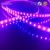 Import 3528 60leds 4.8w Low voltage 5v 12v 390nm 395nm 400nm 405nm UV c led strip from China