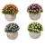 Import 5 Pcs Artificial Succulent Plants with 2 Pcs Plant Hangers from China