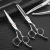 Import 6 inch Beauty Hair Cutting Scissors Set for hairdressing salons barber scissors thinning shears for hairdresser from China