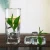 Import 7PCS Glass Water Tea Drinking Set , 1.3L Glass Water Jug with 6 Glasses from China