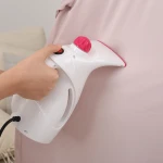 800w Powerful Mini Size Travel Portable Handheld Garment Steamers