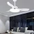 Import AC DC energy saving decorative smart 3 pc blades fan light for living room remote control led ceiling fan with light from China