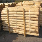 Acacia wood logs