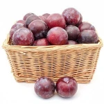 Adorable Fresh Plum Fruits from South Africa