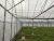 Import agricultural fram used greenhouse frames for sale from China