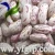 Import all kinds of kidney beans from China