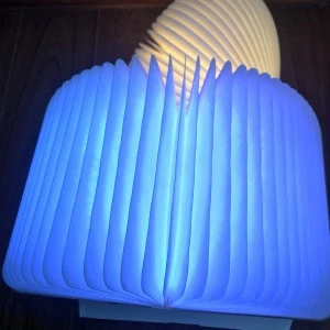 Amazon USB Charge led night light leather DuPont Paper reading lamp folding lumio wooden book lamp