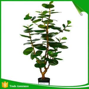 artificial green ornamental plant indoor and outdoor