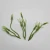 Import Artificial Plastic Grass/Plant for bouquets and gift packing from China