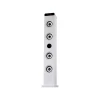 Audmic Home Audio Theatre Tower Floor Sound Speaker System for tv