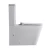 Import Australian Standard Water Mark Rimless P-Trap Two Piece toilet CE Dual Flush Wash Down Ceramic Toilet bowl from China