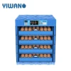 automatic 12V dc dual power chicken egg incubator