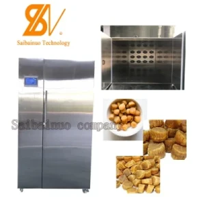 Automatic Electric Steam Belt Trays All Foods Easy Operation Less Cost Stainless Hot Air Dryer