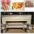 Import Automatic Stainless Steel peanut Cashew Macadamia Nut Cocoa Bean Roasting Machine from China