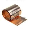 Beryllium Copper Strip C17200