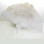 Import Best Chinese Style Hollow folding printing sandal wood fan from China