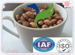 Best Dry Pinto Beans