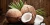 Import Best Quality Fresh Semi Husked Matured Coconut from India