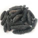 Best quality natural dried sea cucumber