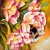 Import Best Valentine&#39;s Gift DIY Digital Oil paint by numbers with frame from China