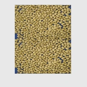 Dried Black Eyed Beans, Premium Quality Beans