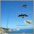 Import Black ripstop nylon hawk kite pest control from China