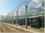 Import Brand new Price Venlo Multi-span Greenhouse Mini Glass Greenhouse with high quality from China