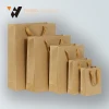 Brown Paper Bag/Brown Kraft Paper Bag/Custom Paper Bag