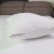 Import Bug proof pillow case 100% polyester cheap pillow cover from China