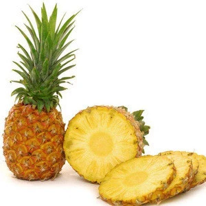 Bulk Fresh Fruit Pineapple/Fresh Whole Pineapple / Pineapples Fresh for Sale