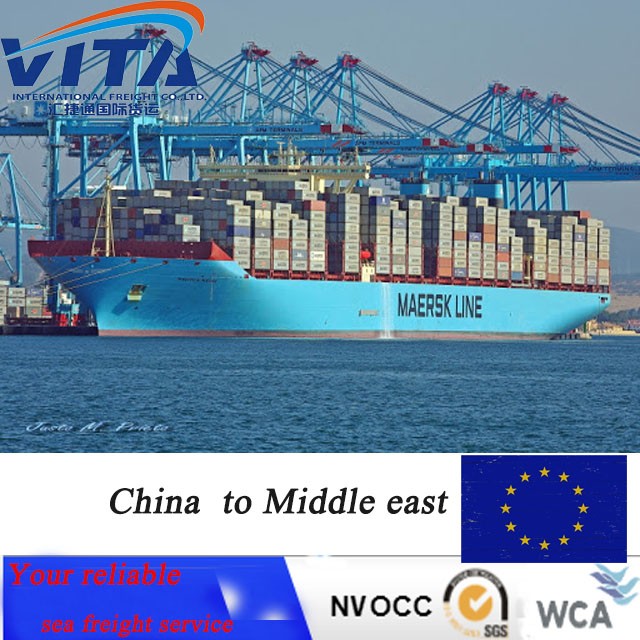 bulk sea freight shipping price forwarder from China to Middle east