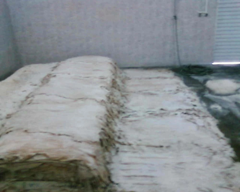 Buy Wet Salted Pig Hides or Skin/ready and available for export