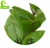 Import cheap artificial leaves decorative zebra leaves for sale from China