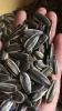 Quality Dried Black Sunflower Seeds 361, 363, 601, 5009, 3939