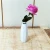 Import China Concise Indoor Home Decoration Ceramic Porcelain Flower Vase for Cut Flowers from China