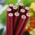 Import China Factory Cheap Price Red Pencil with Eraser from China