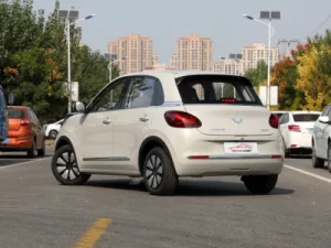 China Factory New-and-Used Wuling-Bingo Light Enjoyment Small Pure Electric Car