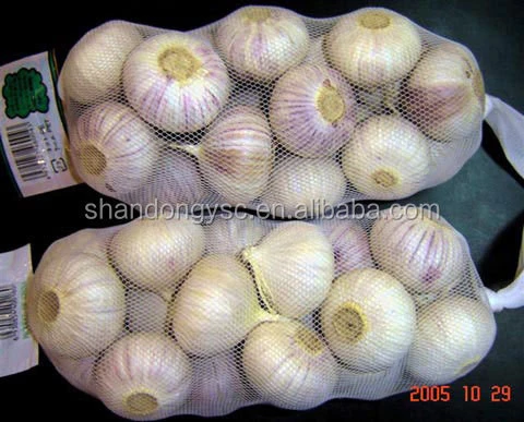China fresh solo garlic,new crop single clove garlic of Yunnan