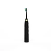 China professional OEM/ODM Personalized ,waterproof Oral Hygiene Ultra High Powered Electric toothbrush