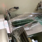 china supplier horizontal automatic plastic bag frozen fresh fruit and vegetable flow packing machine