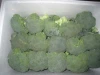 Chinese fresh broccoli price