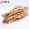 Chinese Herbal Medicine Natural Codonopsis Radix from China GMP Certified Factory